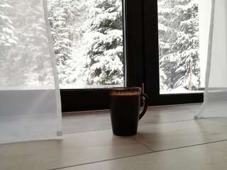 Дома для отпуска Berghaus Буковель Дом с 4 спальнями-8