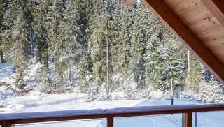 Дома для отпуска Berghaus Буковель Дом для отпуска-17